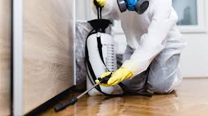 Best Pest Exclusion Services  in Chipley, FL